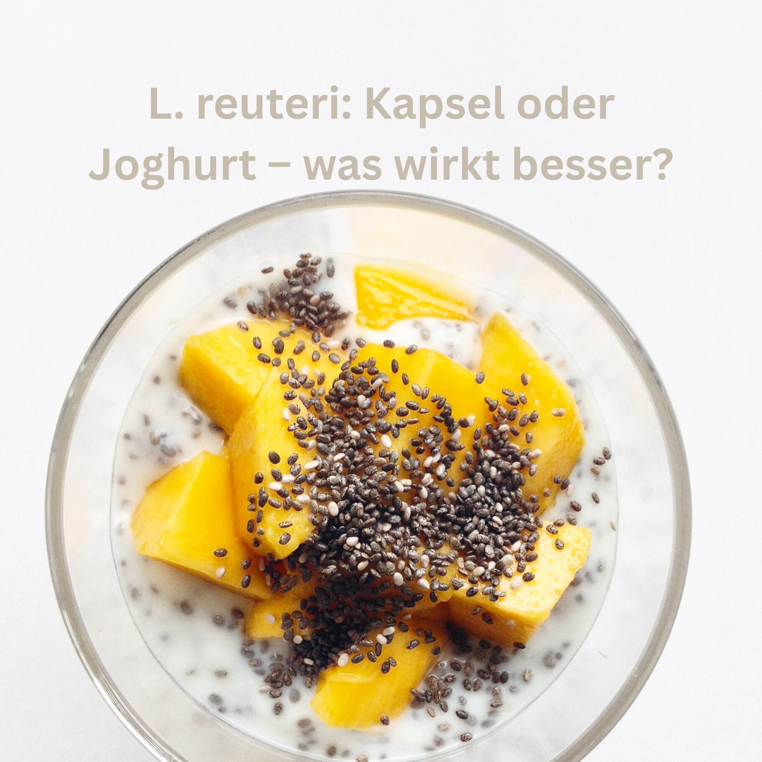 L. reuteri: Kapsel oder Joghurt – was wirkt besser?