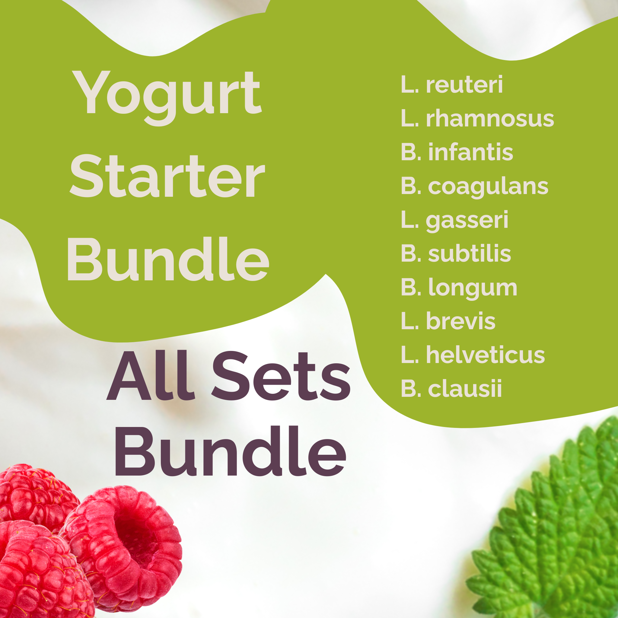 L. reuteri + L. rhamnosus + B. infantis + B. coagulans + L. gasseri + B. subtilis + B. longum + L. brevis + L. helveticus + B. clausii | All Sets Bundle | Yogurt Starter Bundle | Pack of 5 Sets
