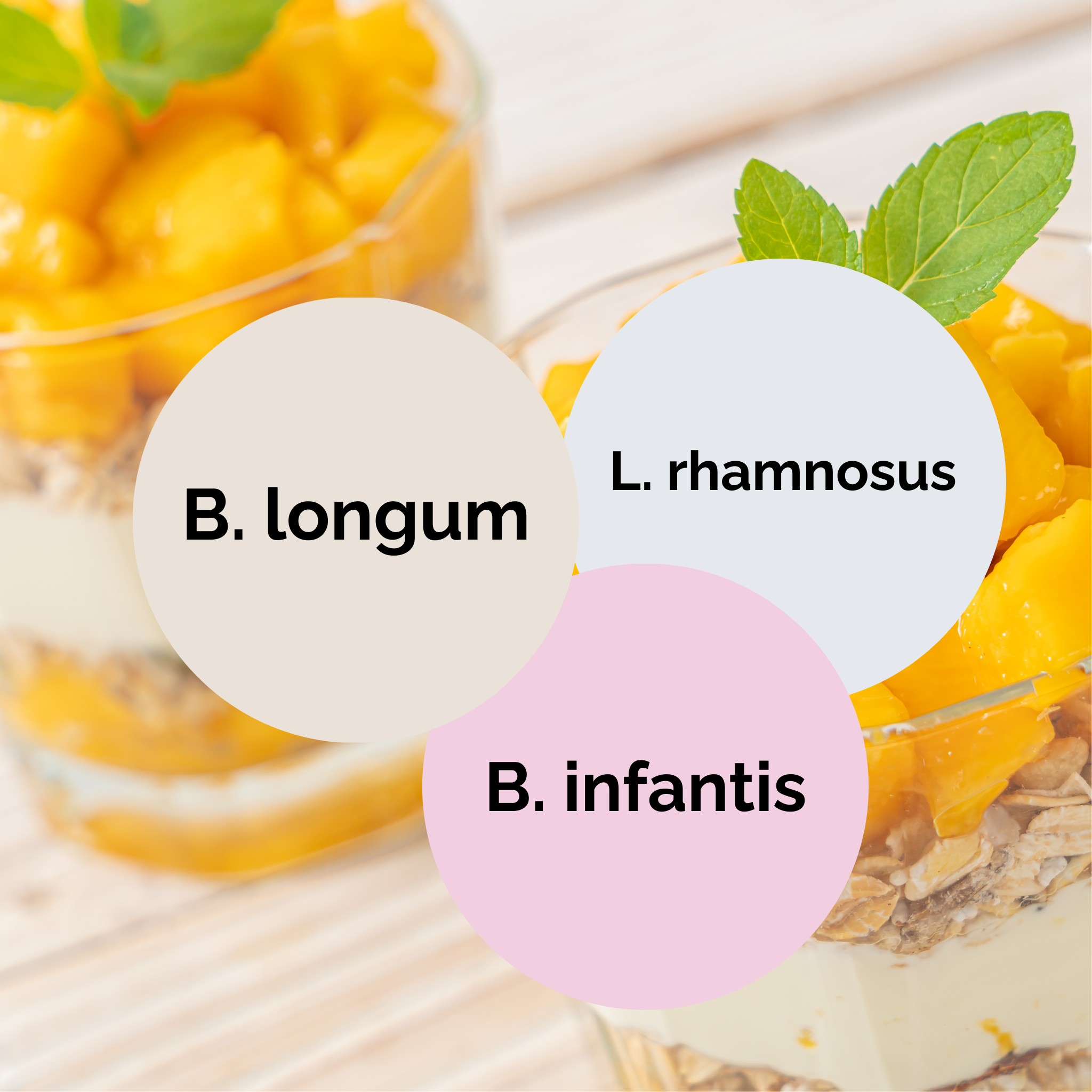 L. rhamnosus + B. infantis + B. longum | Joghurt Starter Set | Starterkulturen | 3er Pack