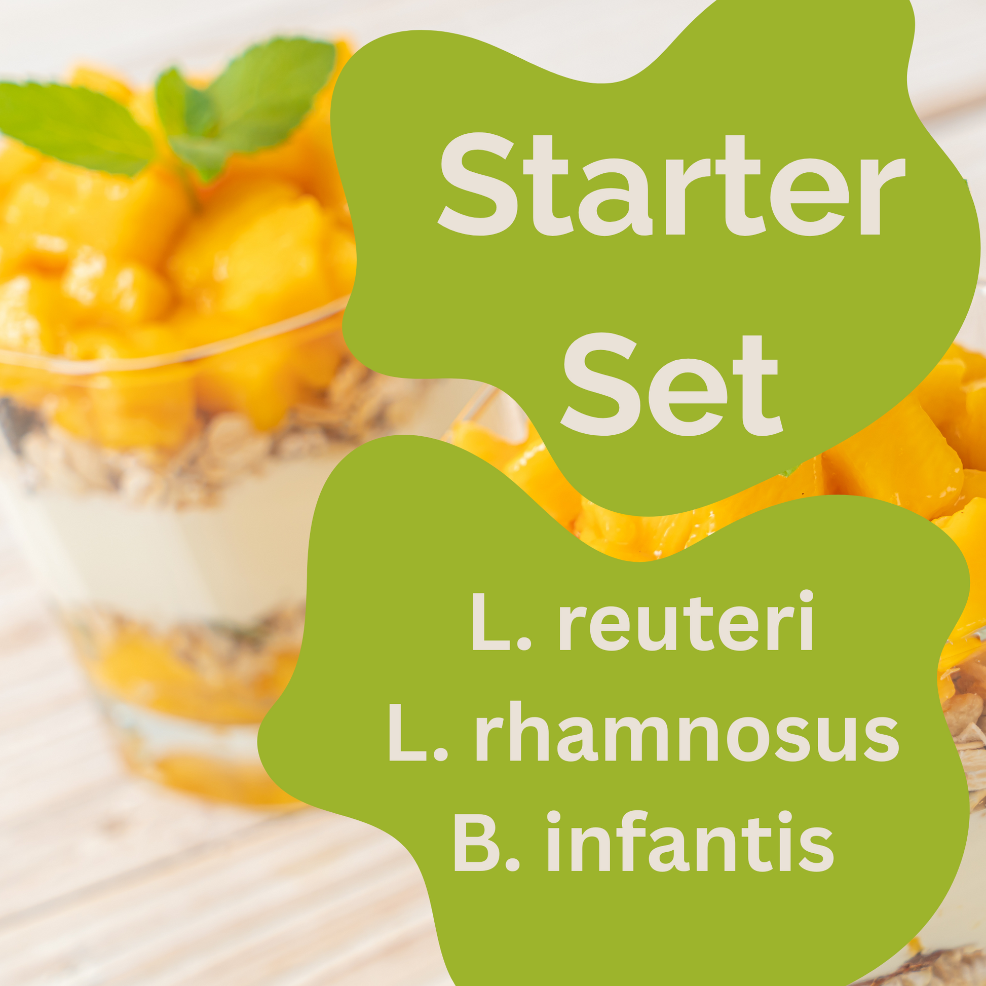 Стартовый набор для приготовления йогурта L. reuteri, L. rhamnosus, B. infantis